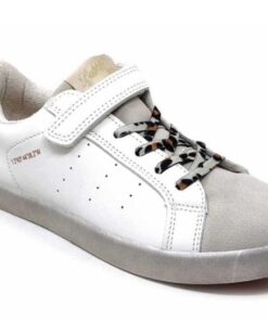 Bubble C1504-S
